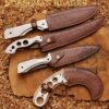 Dexter Fixed Blade Knife – D2 Steel Hunting & Survival Knife