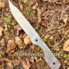 Dexter Fixed Blade Knife – D2 Steel Hunting & Survival Knife