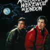 American Werewolf Knife Replica – D2 Steel Blade